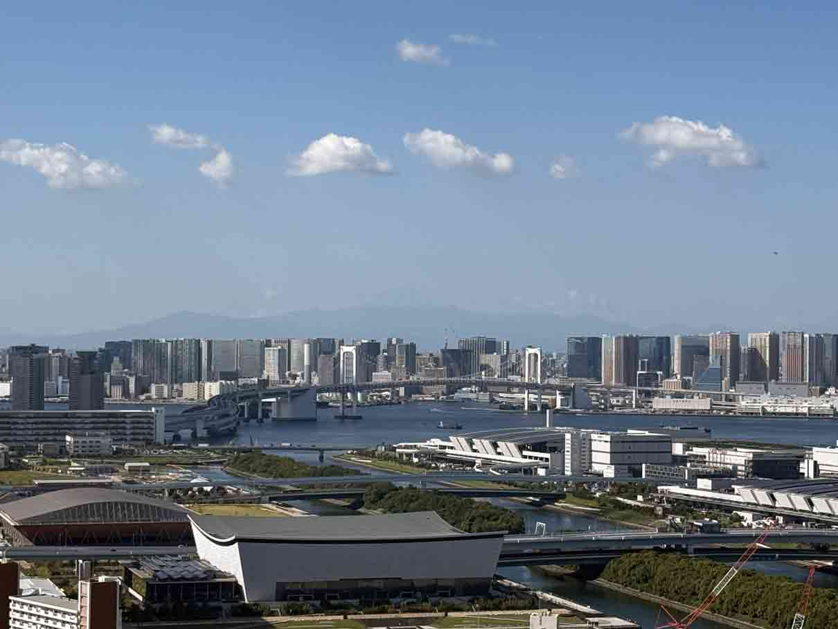 アップルタワー東京キャナルコート41階の展望