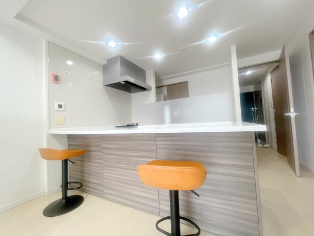 レアシス津田沼前原の丘のキッチン|キッチン/お料理をしながら家族との会話も楽しめる対面式カウンターキッチン