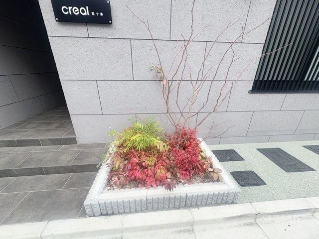ＣＲＥＡＬ東十条のその他|植栽です☆