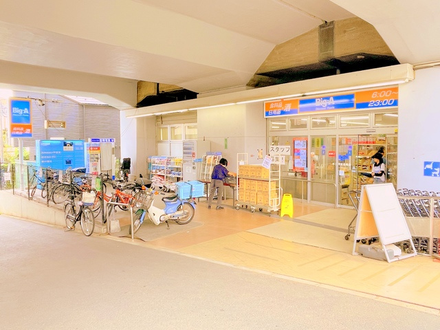 ハイムカメリアのその他|ビッグ・エー杉並阿佐谷南店