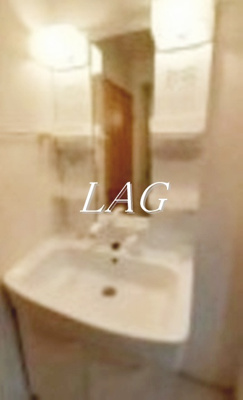 【独立洗面台】 | メゾンせせらぎ | 独立洗面台です。