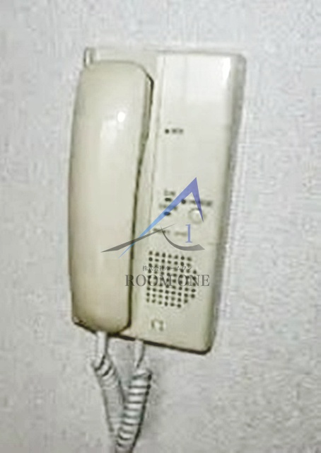 ヴィクトワールのその他