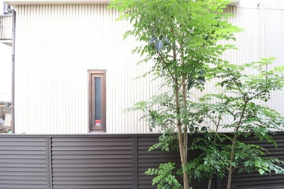 【展望】 | ウェルスクエア高円寺南