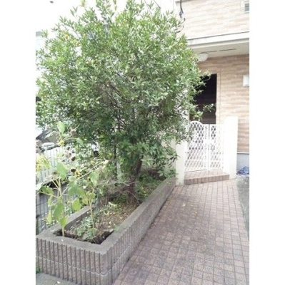 【外観】 | コーポ望月 | 外観