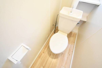 【トイレ】 | ビレッジハウス鴻野山1号棟 | ビレッジハウスの同一物件・同一タイプの間取りの写真です