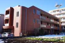 ソレアードハズミの画像