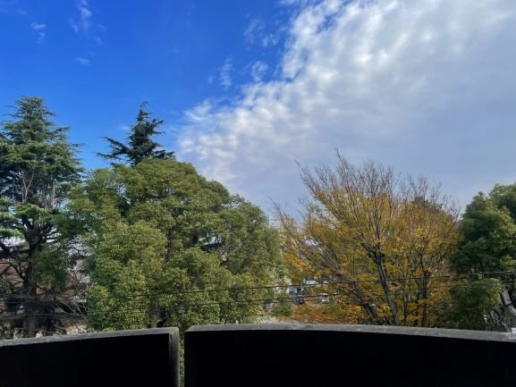 レオパレスパティオのその他