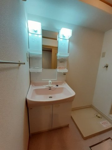 メゾンドアンジュＡの洗面所