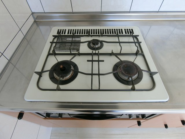 フェイバードパーク　Ｂ棟のキッチン|イメージ101号室の写真