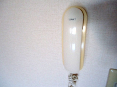 【セキュリティ】 | クオリティハウス・リンドウ | インターホン