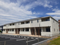 ジプソフィルの画像