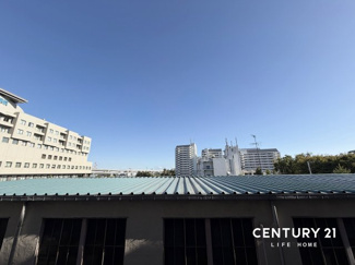 【展望】