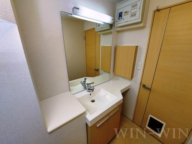 ヴィラ ブルーモント Ⅰの独立洗面台