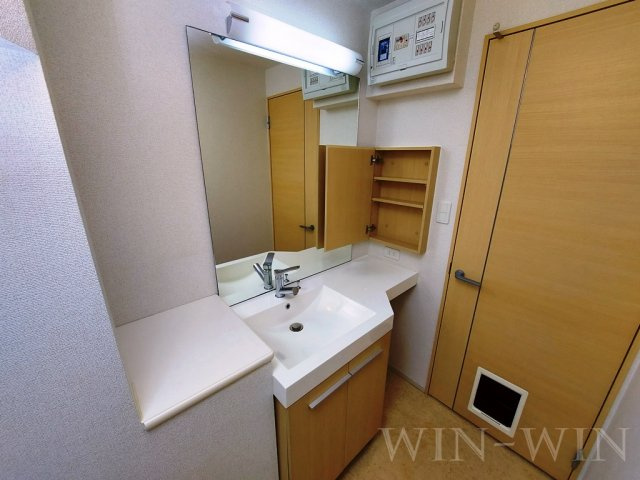 ヴィラ ブルーモント Ⅰの独立洗面台