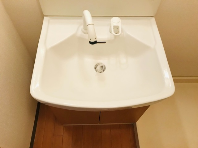 上益城郡御船町大字陣のアパートの独立洗面台