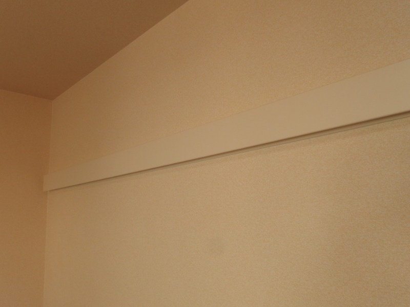 パピヨンAのその他