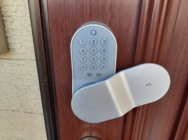 ティンカーベルのその他