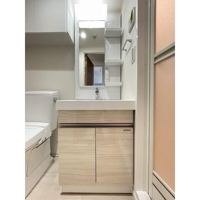 アルファコート西川口２７の洗面所