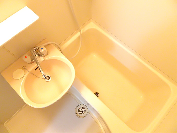 カーサヒビヤの浴室