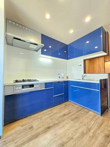 泉町1丁目　中古一戸建てのキッチン|L字型キッチン　食器洗い乾燥機付き
■物件内覧・資金計画相談・住宅ローン相談、リフォーム相談、お問合せ受付中■
※当日・翌日のご内覧、ご相談はお電話でのお問合せがスムーズです！