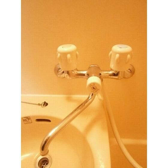 コーポ望月の浴室