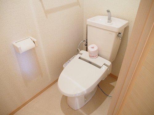 グリーンヒルズ大日のトイレ