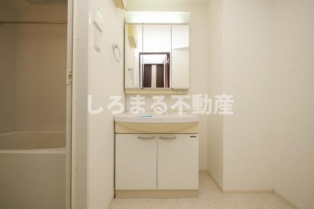 グランシス天満橋の洗面所