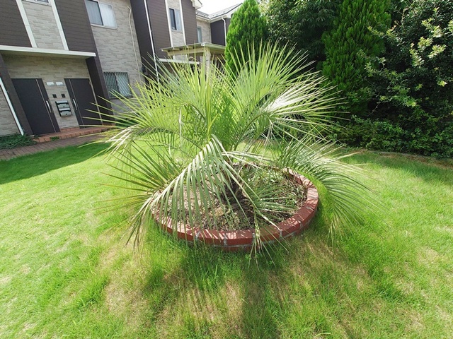 ヴィラージュ志伊Ⅲのその他|緑があって癒されますね☆