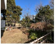 【庭】 | 入船中央エステート