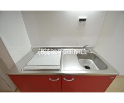 【その他】 | Windflower(ウィンドフラワー)