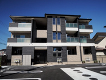 ｏ’ｈａｎａの画像