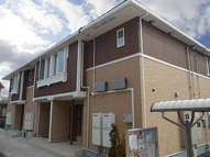 チェリー　プロッサムＢの画像