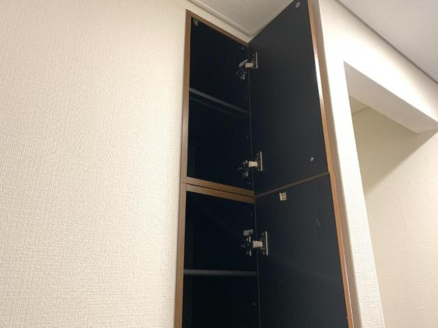 ビエンフェオークラⅡの収納|下駄箱