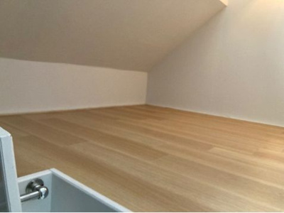 【その他】 | ペチュニア | ロフト☆(同一仕様写真)