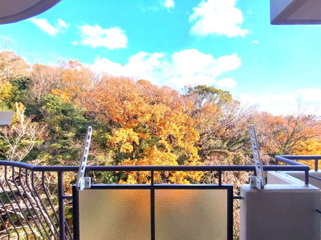 ジークレフ御影台A棟の展望