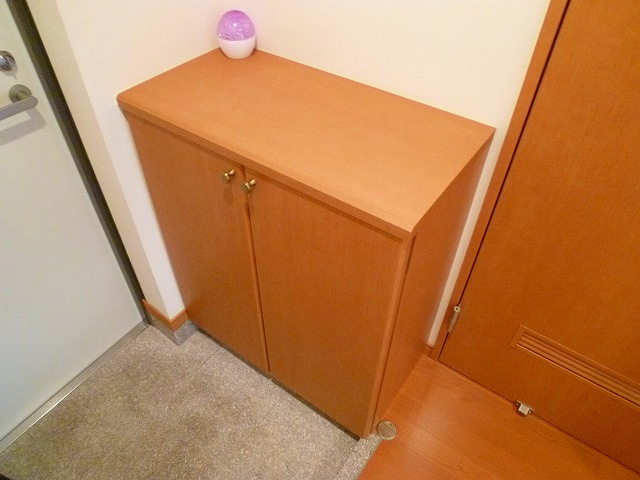 インポート久留米ルビーV【キャッシュバック対象物件】の玄関|明るい玄関です