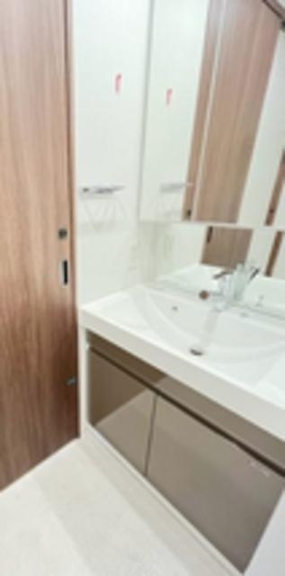 ドゥーエ菊川の洗面所