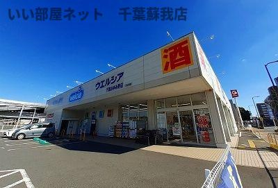 グリシーヌのその他