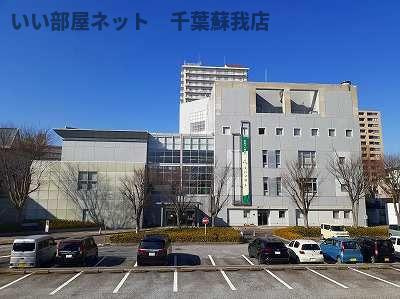 グリシーヌのその他