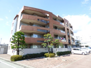 ヒカワフラットIの画像