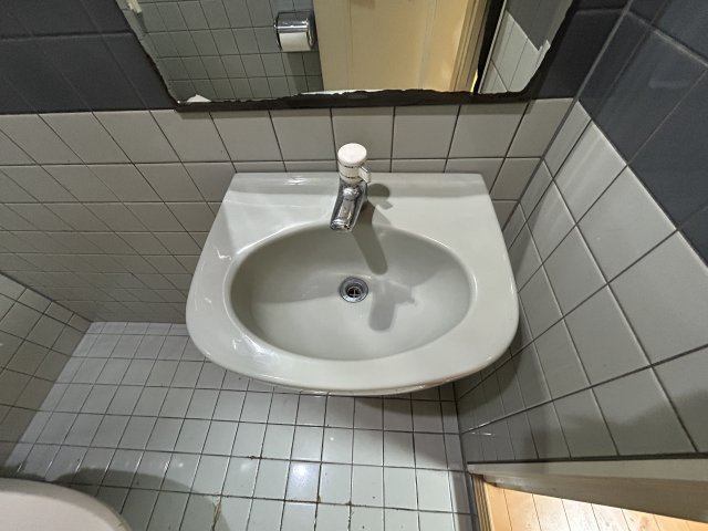 サーミットシティ7の洗面所