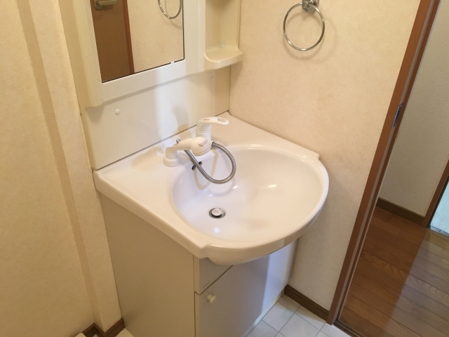 ジュネスブライトンＡの洗面所