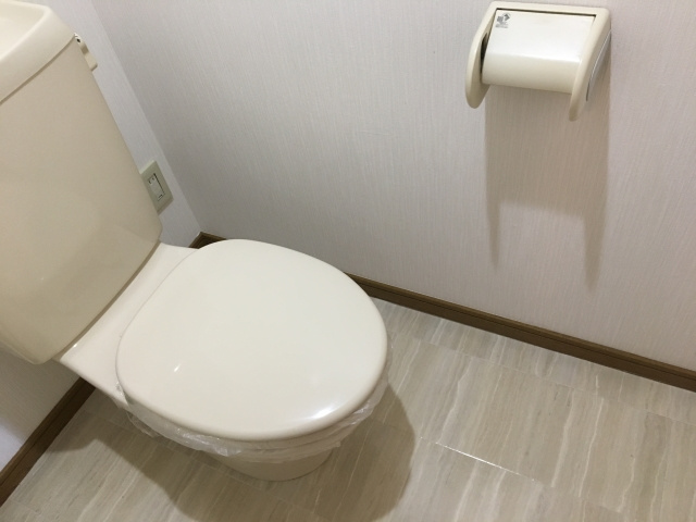 ジュネスブライトンＡのトイレ