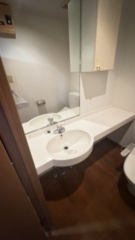 ワグキューブの洗面所