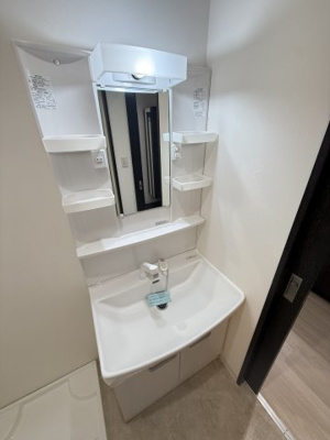 【独立洗面台】 | ワコーレヴィータ神戸グランパルク