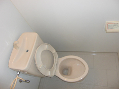 【トイレ】 | パークサイド美清（ちゅら） | ※退去前の為、写真と現状が異なる場合がございます