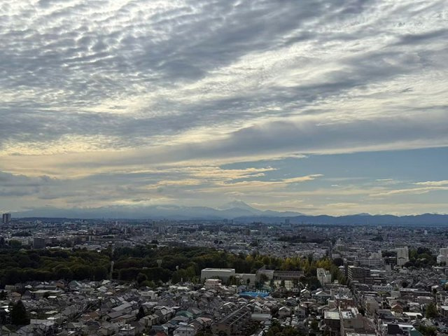 【展望】 | プラウドタワー石神井公園　（保谷店） | 眺望良好な23階部分です。