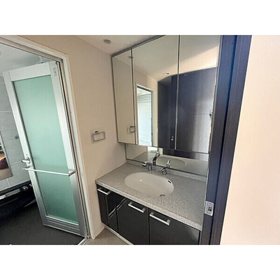 【洗面所】 | エルザグレース堀江タワー | 3面鏡＋ミドルミラー仕様の洗面化粧台が設置されています。出入り口扉は鍵付きです。