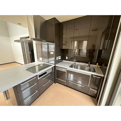 【キッチン】 | エルザグレース堀江タワー | IHクッキングヒーター・食器洗乾燥機・ディスポーザー・浄水器搭載です。