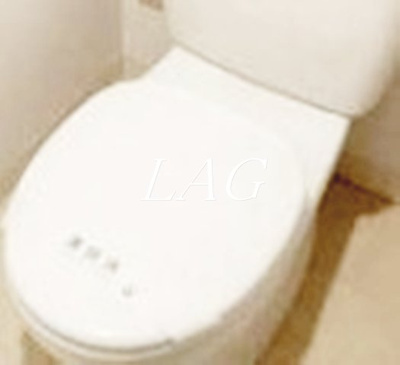 【トイレ】 | アパートメントフサージュ | トイレです。